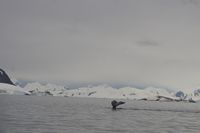 
DSC00078